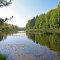 Eigentalweiher im Sommer (Foto: Béatrice Hitz)