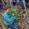 Spazieren im Wald (Foto: Erika Gisler)