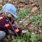 Spazieren im Wald (Foto: Erika Gisler)