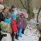 Wald-Exkursion mit Güst Erni (Foto: Erika Gisler)