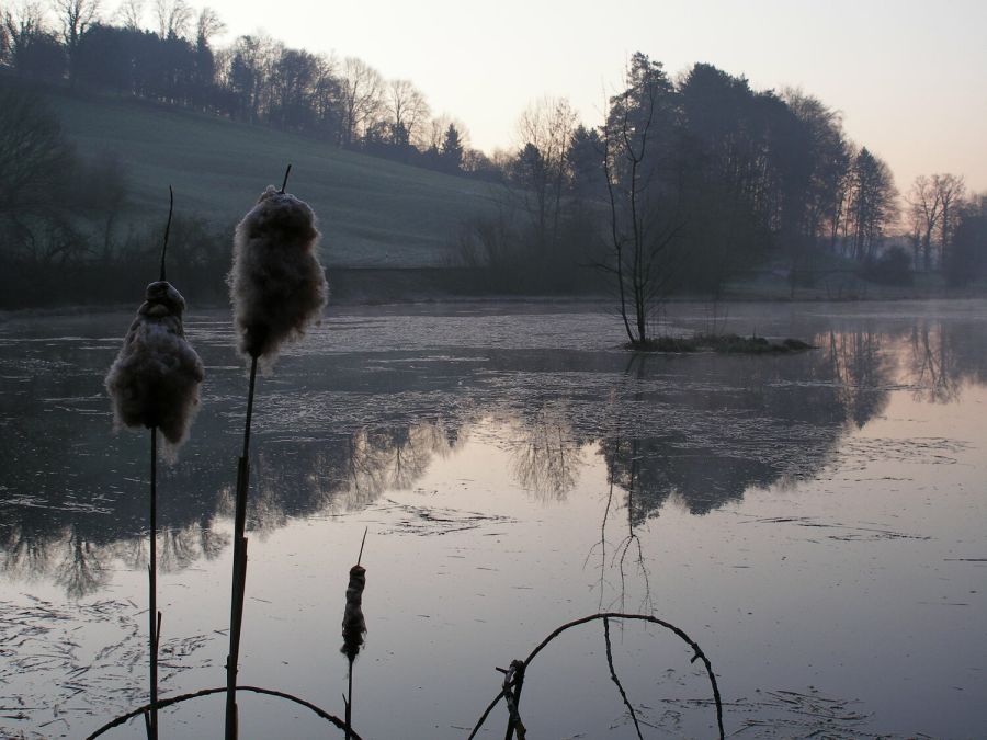Eigentalweiher (Foto: Jacqueline Eberle)