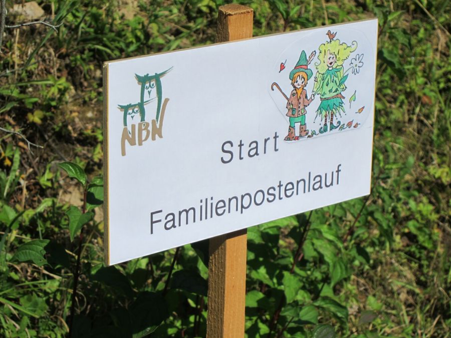 Wo die Waldfeen und Kobolde leben (Foto: Erika Gisler)
