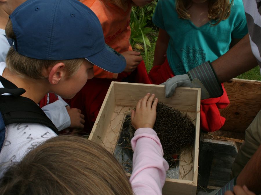NBN Kids Igelexkursion (Foto: Jacqueline Eberle)