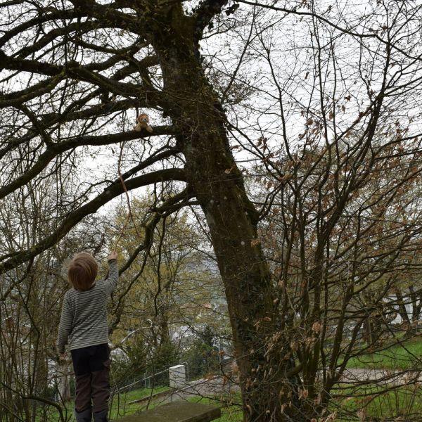 Spazieren im Wald (Foto: Erika Gisler)