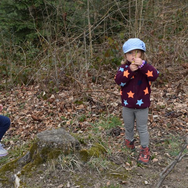 Spazieren im Wald (Foto: Erika Gisler)