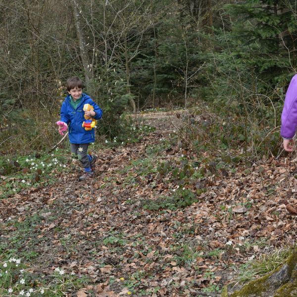 Spazieren im Wald (Foto: Erika Gisler)