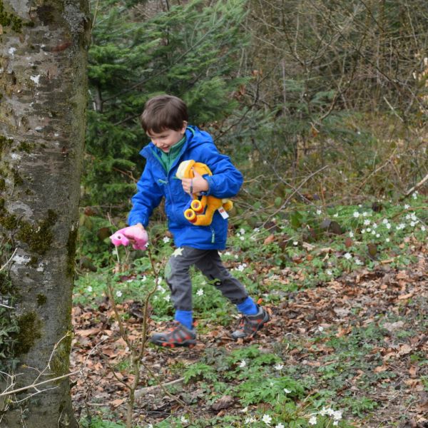 Spazieren im Wald (Foto: Erika Gisler)