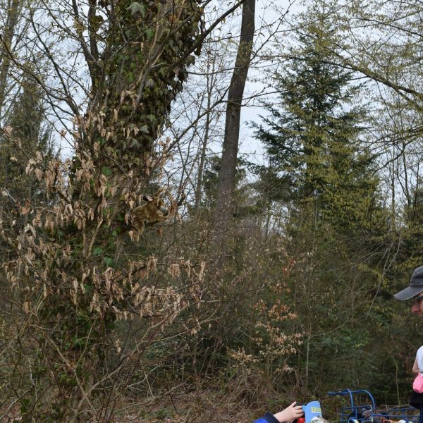 Spazieren im Wald (Foto: Erika Gisler)