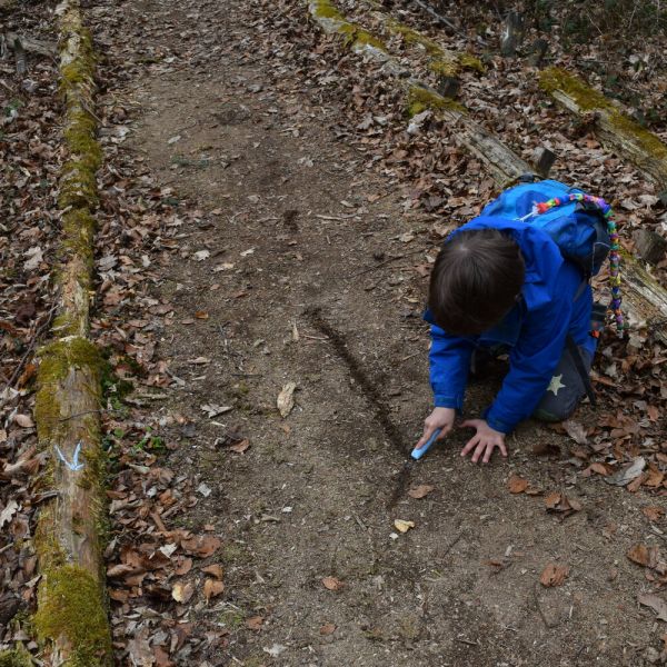 Spazieren im Wald (Foto: Erika Gisler)