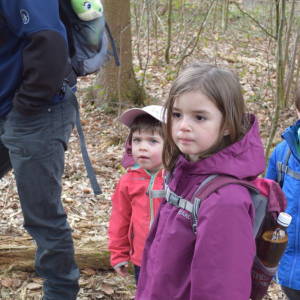 Spazieren im Wald (Foto: Erika Gisler)