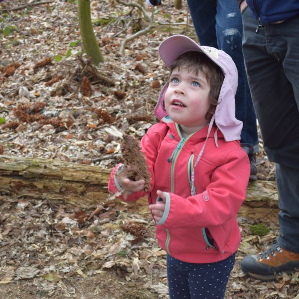Spazieren im Wald (Foto: Erika Gisler)