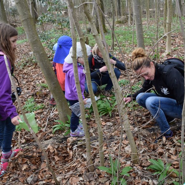 Spazieren im Wald (Foto: Erika Gisler)