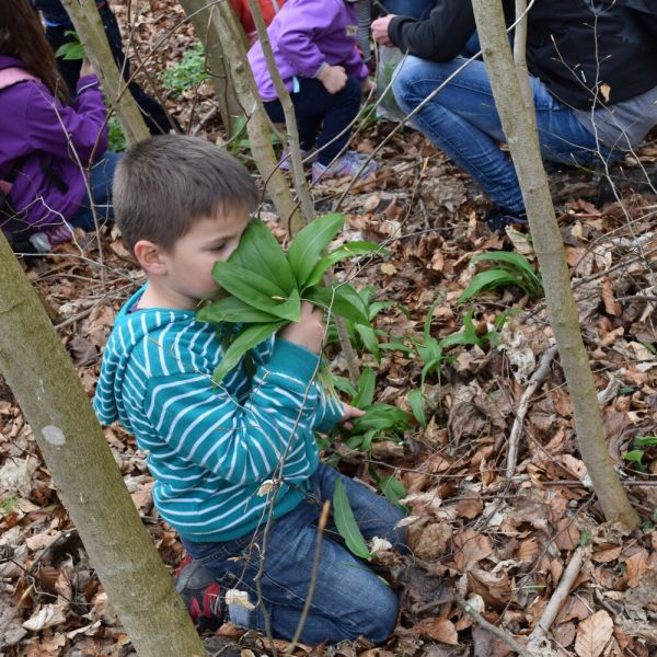 Spazieren im Wald (Foto: Erika Gisler)