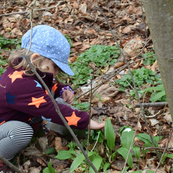 Spazieren im Wald (Foto: Erika Gisler)