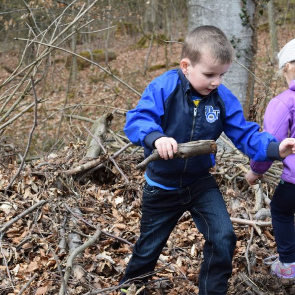 Spazieren im Wald (Foto: Erika Gisler)