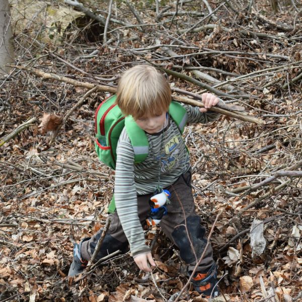 Spazieren im Wald (Foto: Erika Gisler)