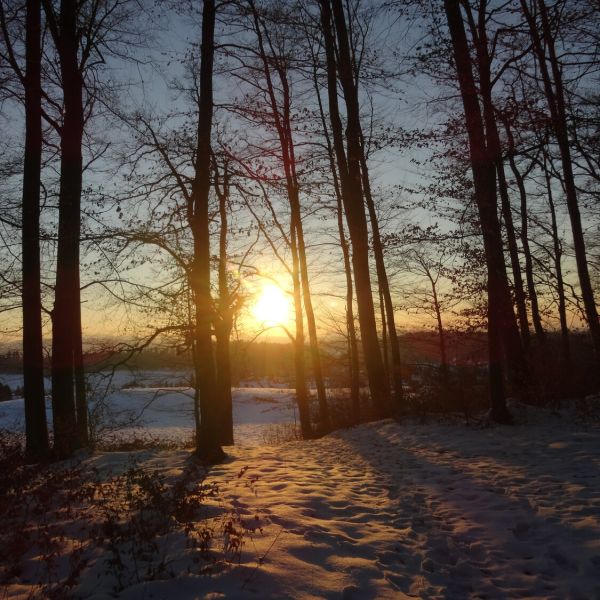 Winterlicher Wald (Foto: Andrea Sabrina Schmid)