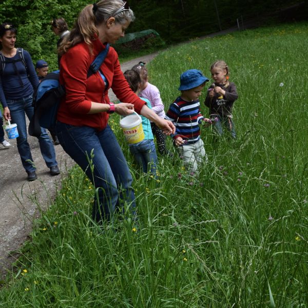 Märchenhafte Kräuterwanderung (Foto: Erika Gisler)