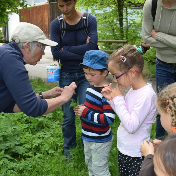 Märchenhafte Kräuterwanderung (Foto: Erika Gisler)