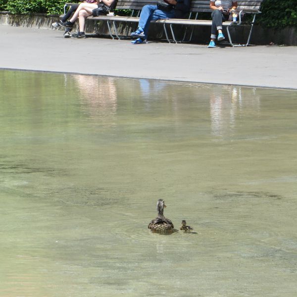 Mutter und Kind auf Wasser vor Migros