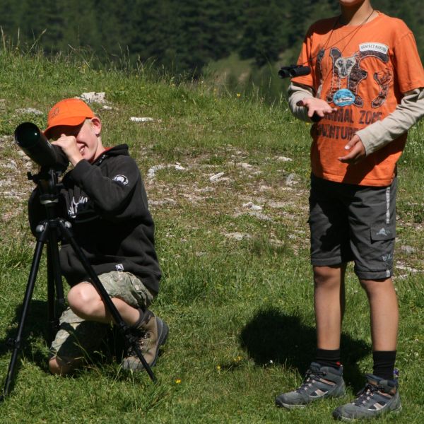 NBN Sommerlager 2014