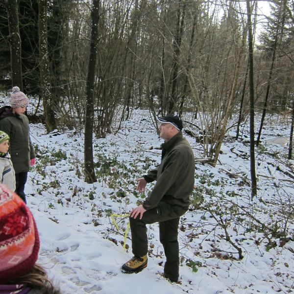 Wald-Exkursion mit Güst Erni (Foto: Erika Gisler)
