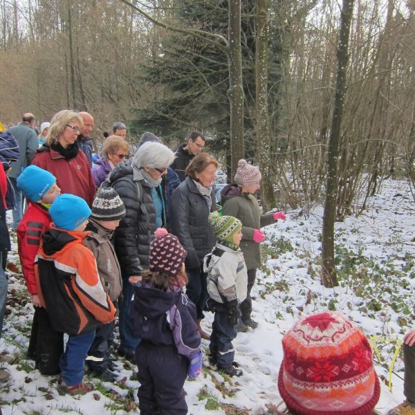 Wald-Exkursion mit Güst Erni (Foto: Erika Gisler)