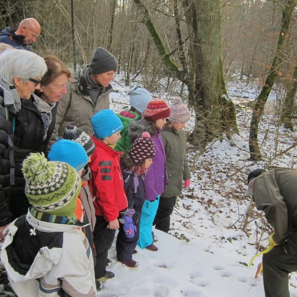 Wald-Exkursion mit Güst Erni (Foto: Erika Gisler)