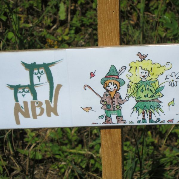 Wo die Waldfeen und Kobolde leben (Foto: Erika Gisler)