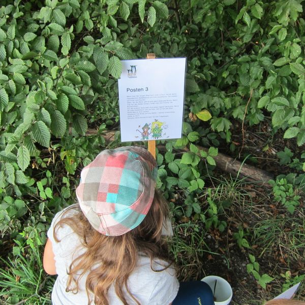 Wo die Waldfeen und Kobolde leben (Foto: Erika Gisler)