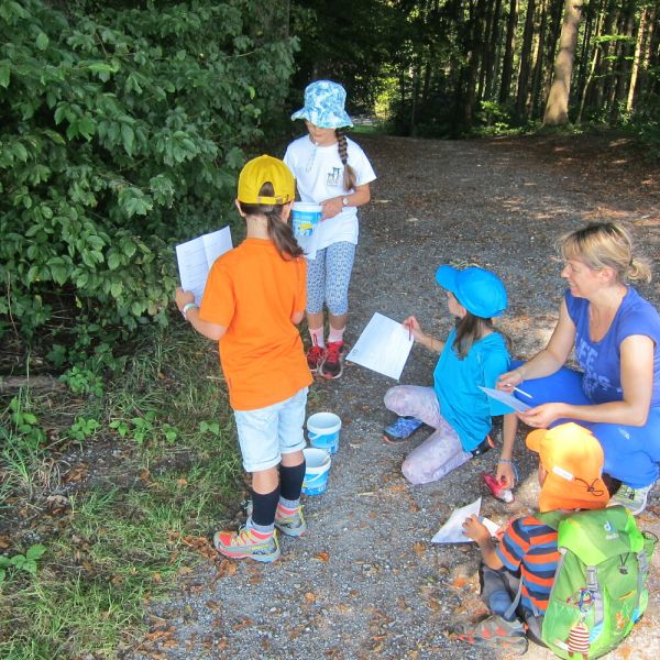 Wo die Waldfeen und Kobolde leben (Foto: Erika Gisler)