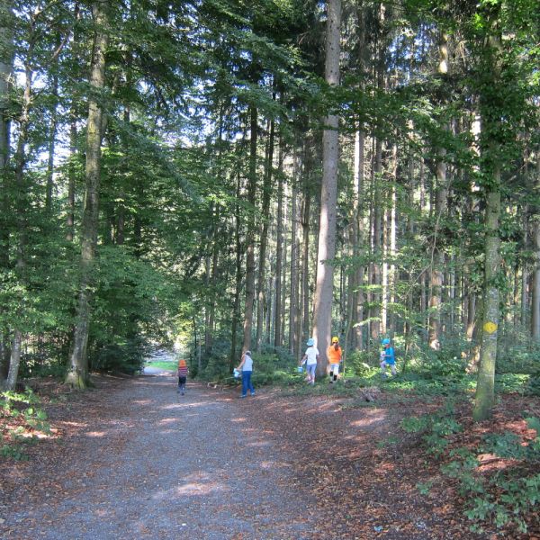Wo die Waldfeen und Kobolde leben (Foto: Erika Gisler)