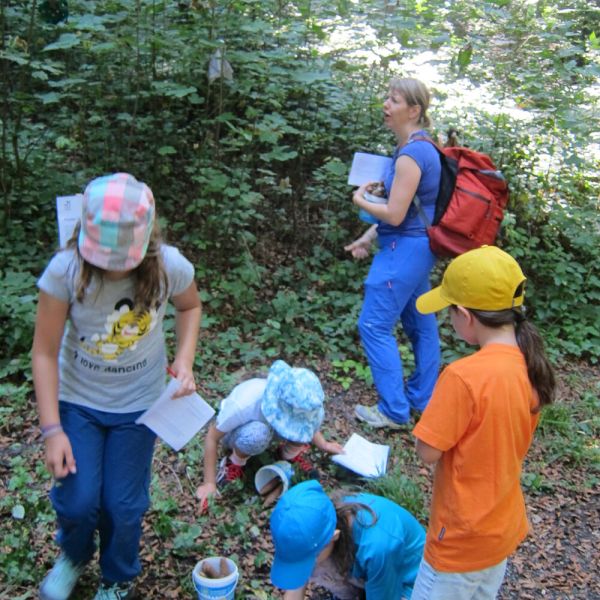 Wo die Waldfeen und Kobolde leben (Foto: Erika Gisler)