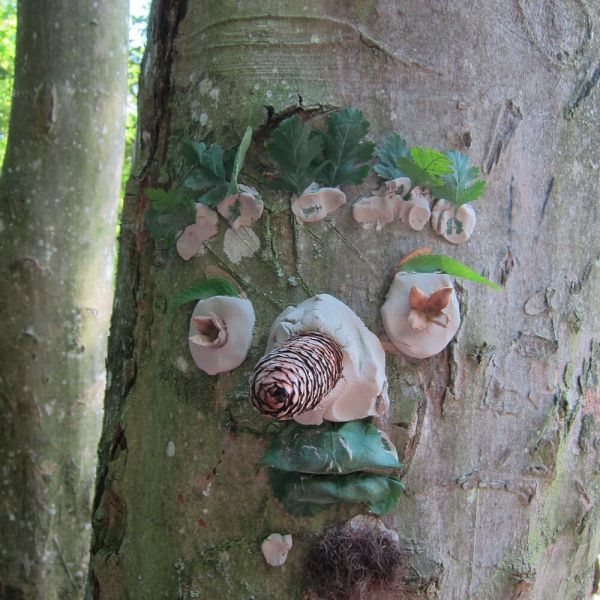 Wo die Waldfeen und Kobolde leben (Foto: Erika Gisler)
