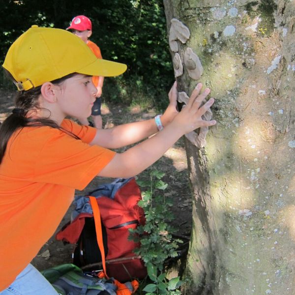 Wo die Waldfeen und Kobolde leben (Foto: Erika Gisler)