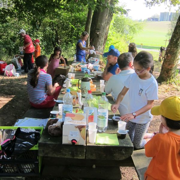 Wo die Waldfeen und Kobolde leben (Foto: Erika Gisler)