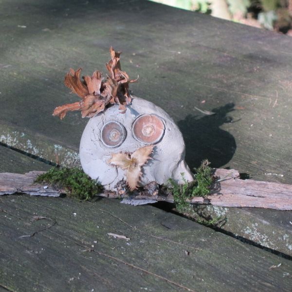 Wo die Waldfeen und Kobolde leben (Foto: Erika Gisler)