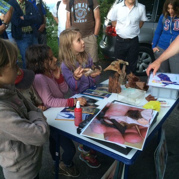 Fledermausexkursion 1.7.2016 (Foto: Erika Gisler)