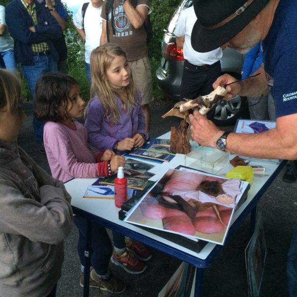 Fledermausexkursion 1.7.2016 (Foto: Erika Gisler)