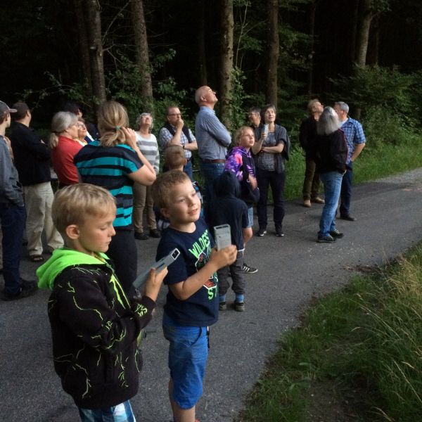 Fledermausexkursion 1.7.2016 (Foto: Erika Gisler)