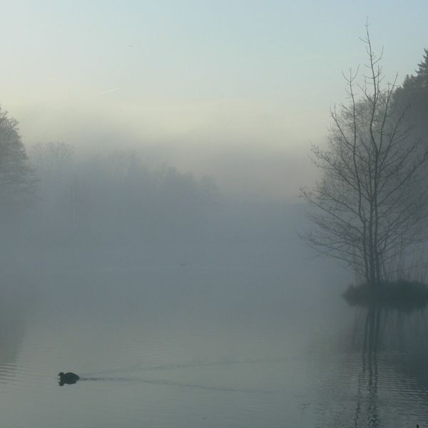 Nebelstimmung über dem Eigentalweiher (Foto: Paul Keller)